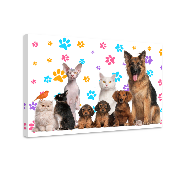 Quadro animali Cani e gatti - TenStickers