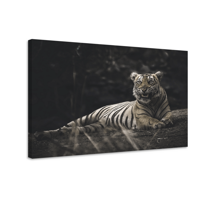 Quadro con animali e insetti tigre maestosa in riposo - TenStickers