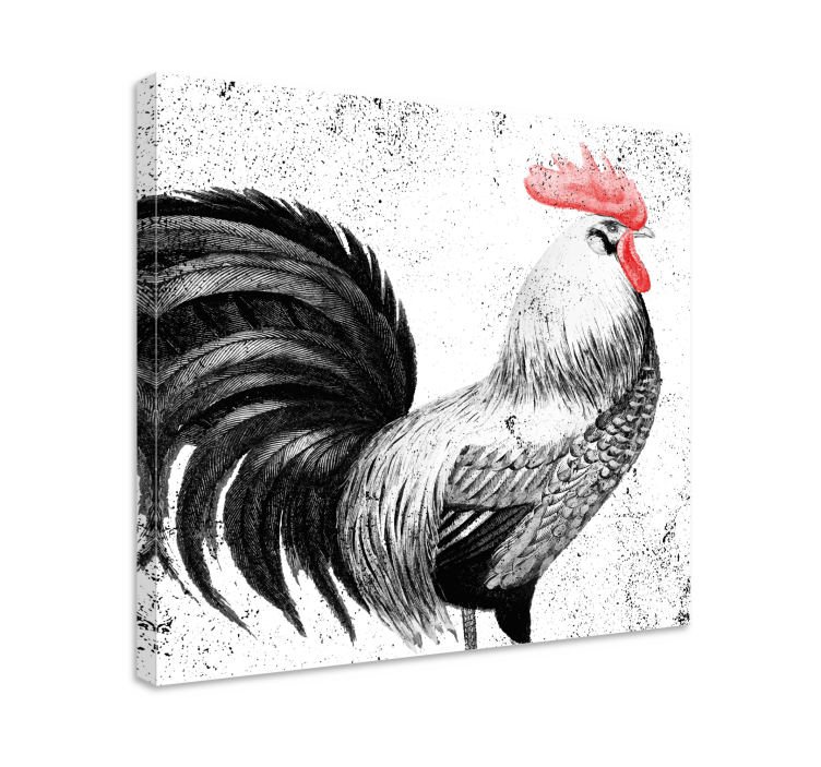 Quadro con uccelli Gallo nero e rosso - TenStickers
