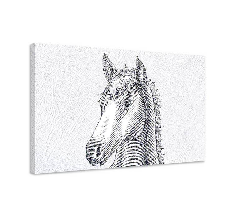 Quadro con cavallo schizzo elegante - TenStickers