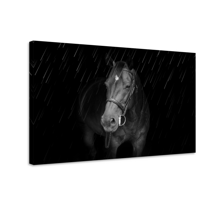 Quadro con cavallo nero maestoso - TenStickers