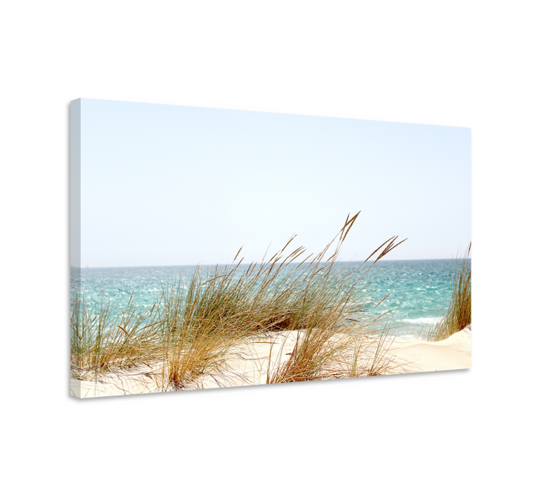 Quadro paesaggio vista sulle dune costiere - TenStickers