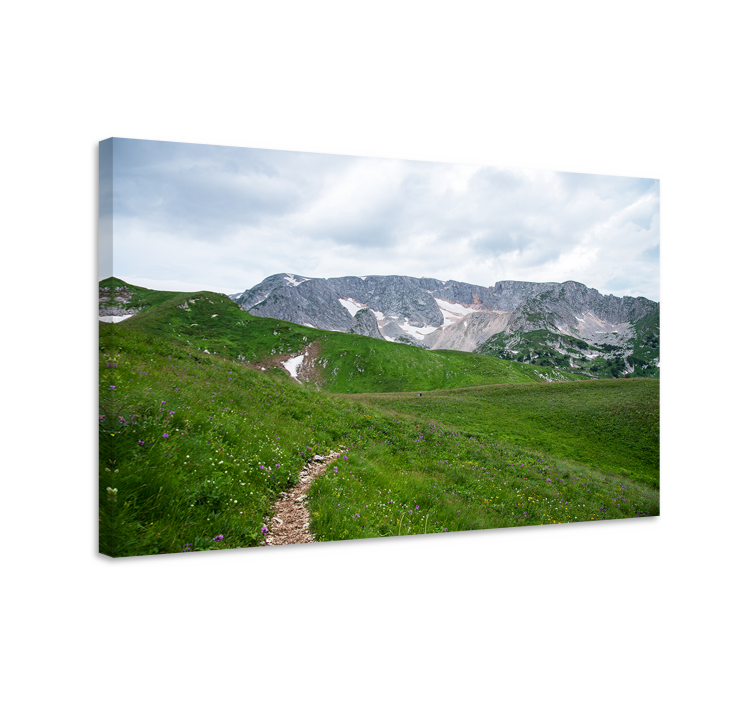 Quadro paesaggio sentiero montano sereno - TenStickers
