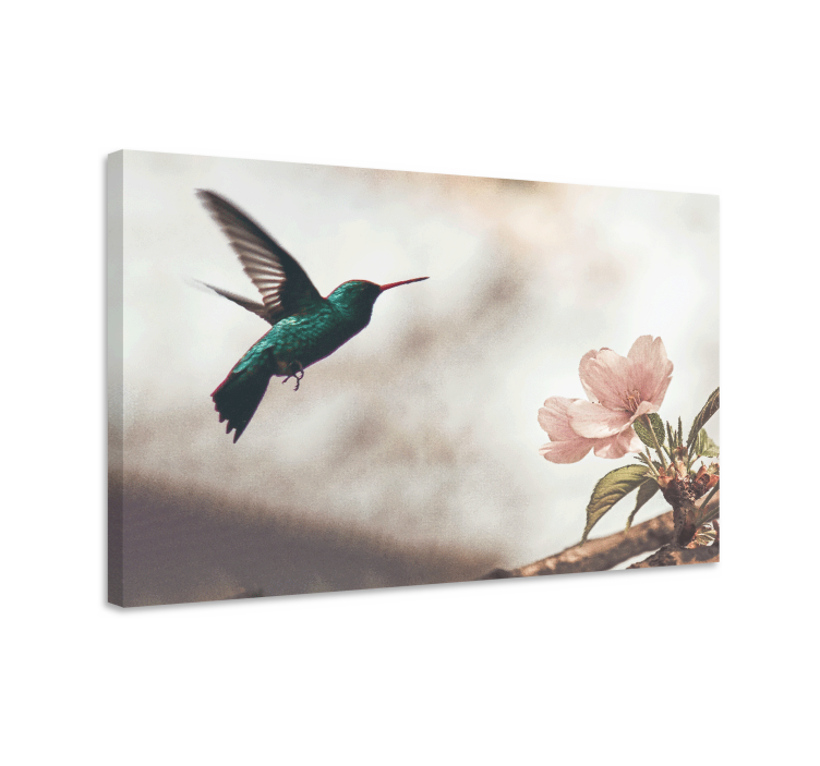 Quadro con uccelli colibrì e fiori - TenStickers
