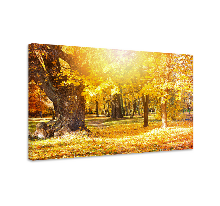 Quadro con alberi sentiero nel bosco autunnale - TenStickers