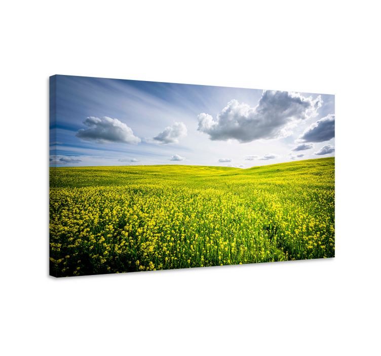 Quadro paesaggio campo giallo vibrante - TenStickers