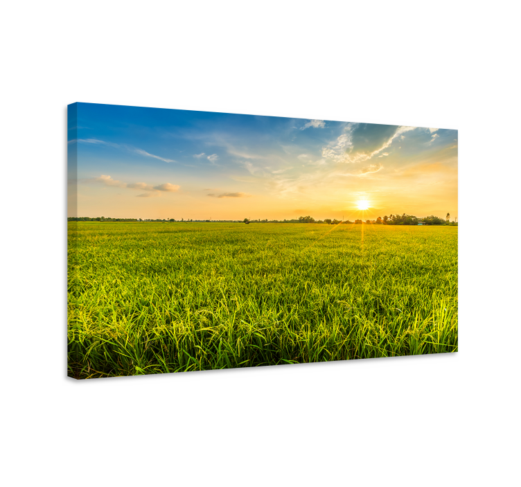 Quadro paesaggio tramonto sui campi - TenStickers
