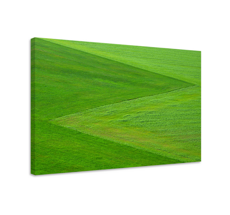 Quadro paesaggio terreno verde lussureggiante - TenStickers