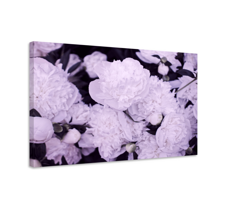 Dipinto fiori e piante fiori di peonia viola - TenStickers