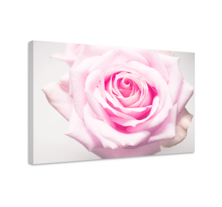 Dipinto fiori e piante rosa blush fiorita - TenStickers