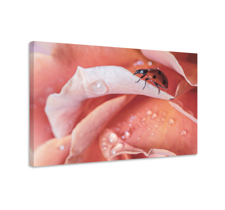 Dipinto fiori e piante coccinella su rosa - TenStickers