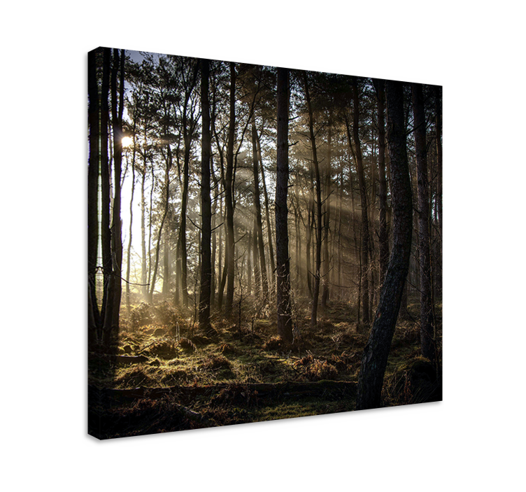 Quadro paesaggio scena foresta incantata - TenStickers