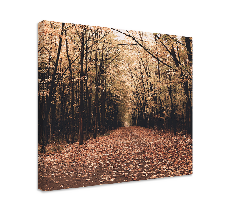 Quadro paesaggio scena del sentiero autunnale - TenStickers
