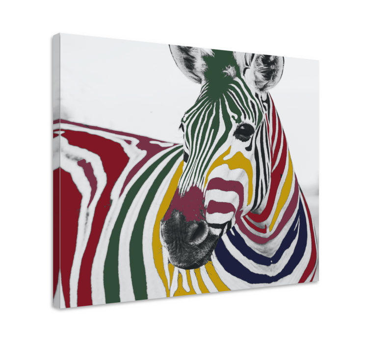 Quadro con animali e insetti ritratto di zebra colorato - TenStickers