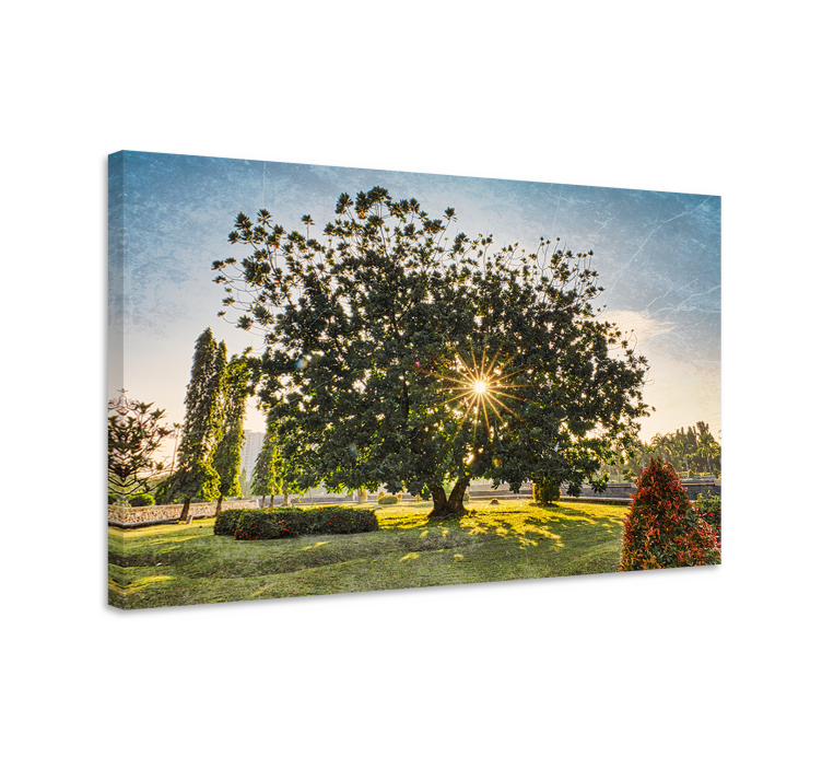 Quadro con alberi silhouette di alberi maestosi - TenStickers