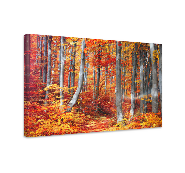 Quadro paesaggio sentieri nel bosco d'autunno - TenStickers