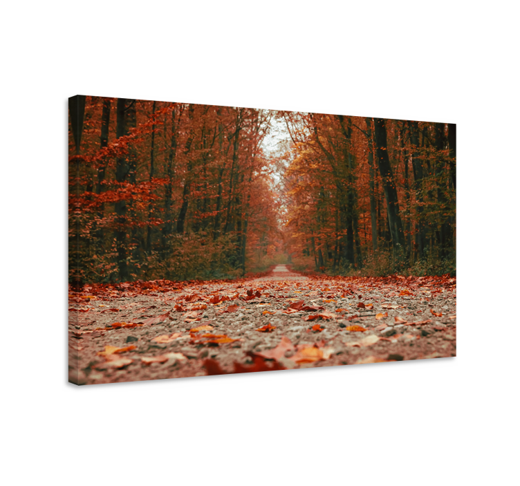 Quadro paesaggio sentiero autunnale - TenStickers