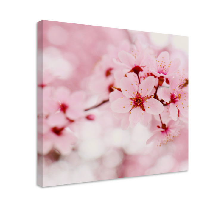 Quadro con fiori Arte della fotografia di fiori rosa - TenStickers