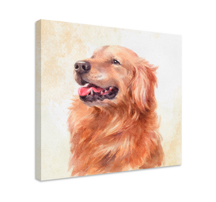 Dipinto cane illustrazione golden retriever - TenStickers