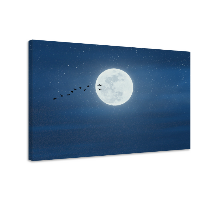 Quadro paesaggio volo al chiaro di luna - TenStickers