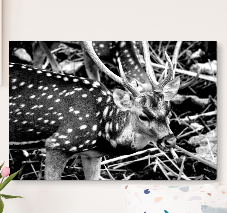 Quadro con cervo elegante ritratto in scala di grigi - TenStickers