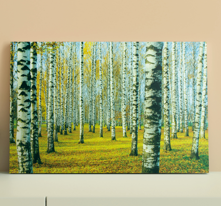 Quadro con alberi foresta di betulle in autunno - TenStickers