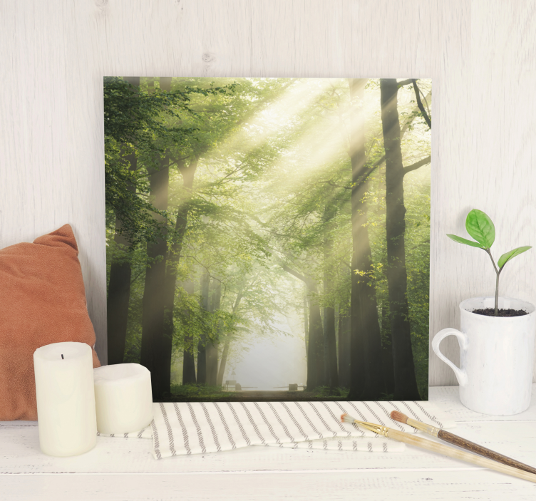 Quadro con alberi sentiero nella foresta nebbiosa - TenStickers