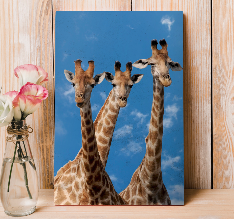 Quadro con animali e insetti ritratto di tre giraffe - TenStickers