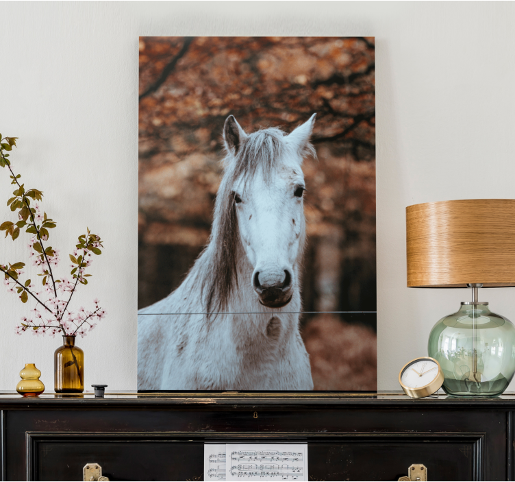 Quadro con cavallo maestoso animale bianco - TenStickers