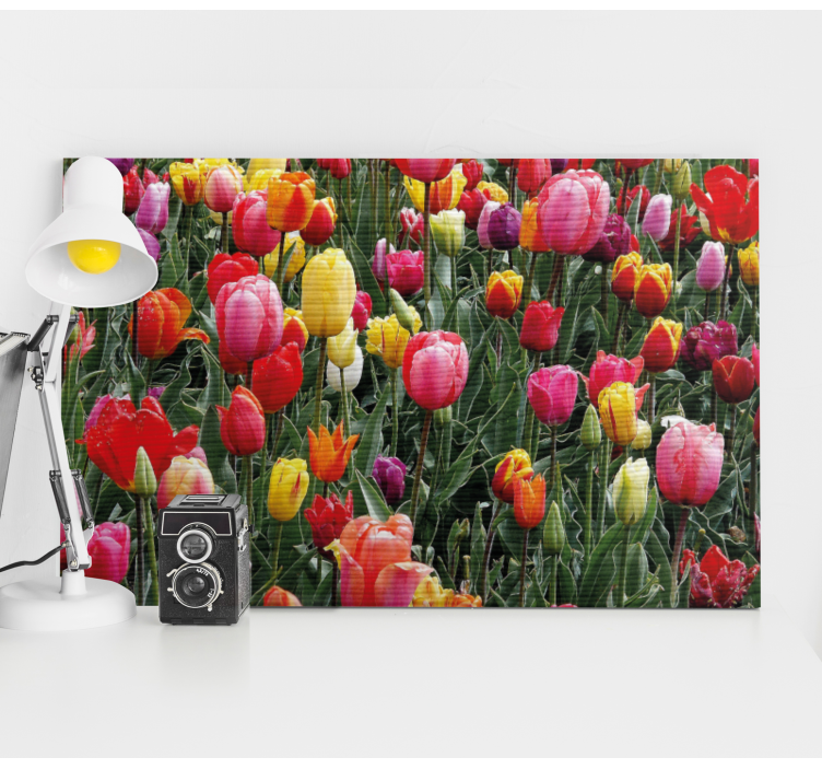 Dipinto fiori e piante fioriture di tulipani colorati - TenStickers