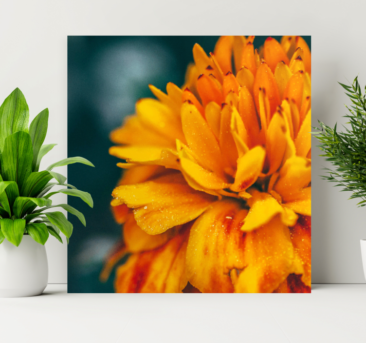 Dipinto fiori fiore d'arancio vibrante - TenStickers