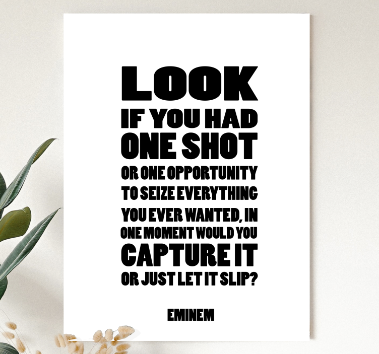 Quadro con canzone di Eminem - TenStickers