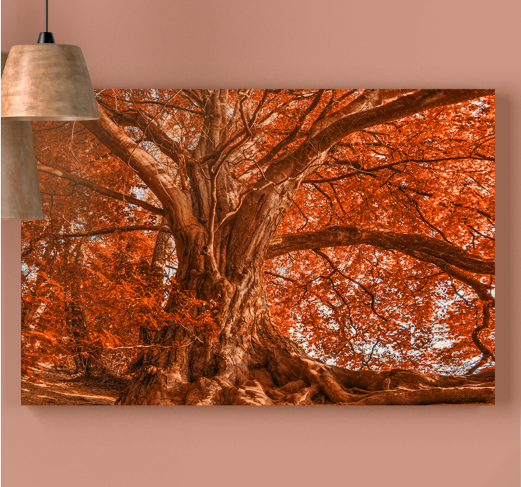 Quadro con alberi cappa autunnale maestosa - TenStickers