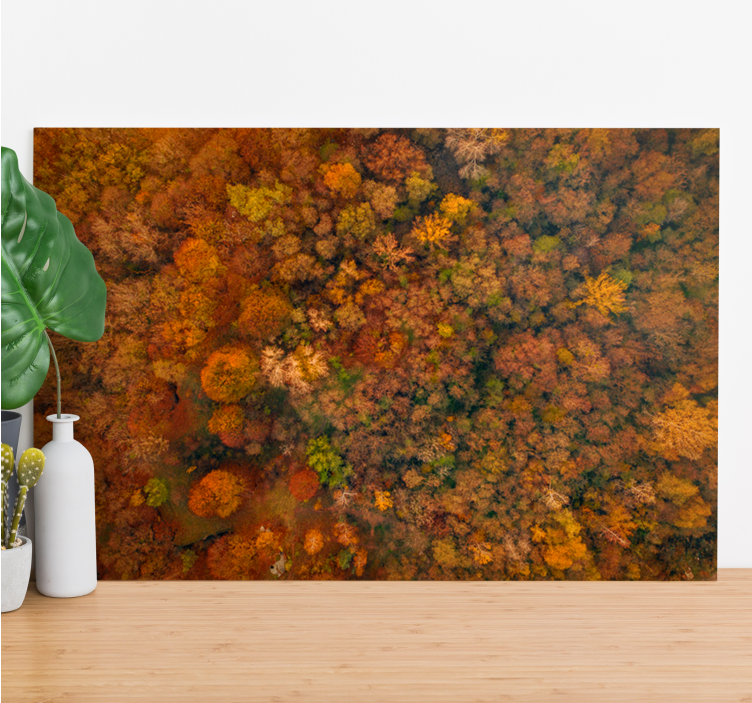 Quadro con alberi chioma di foresta autunnale - TenStickers