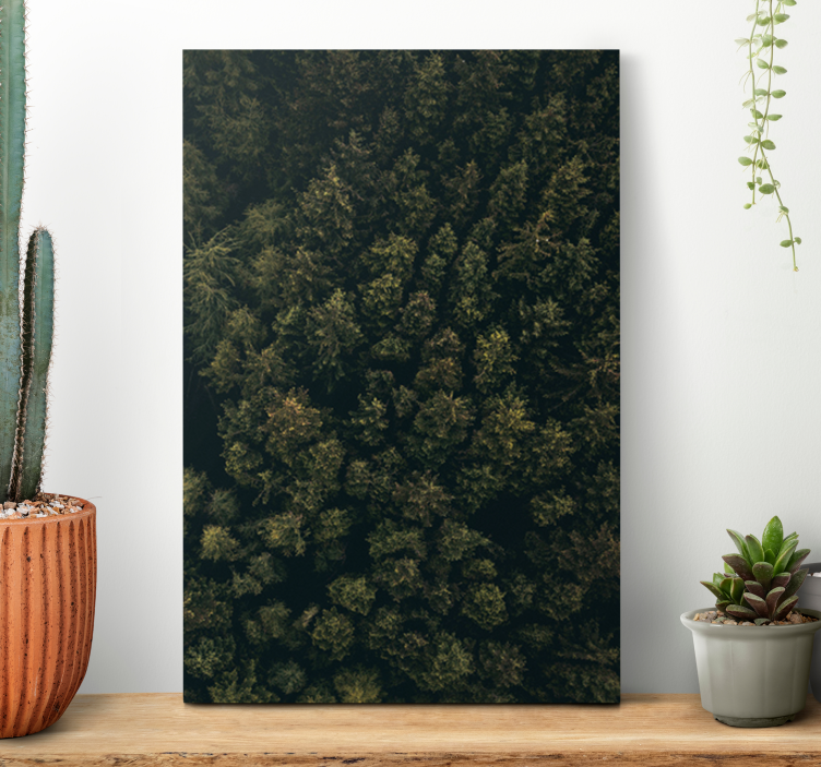 Quadro con alberi copertura lussureggiante della foresta - TenStickers