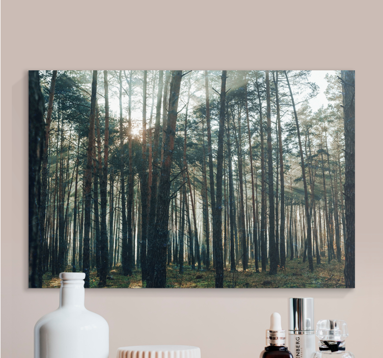 Quadro con alberi luce maestosa della foresta - TenStickers