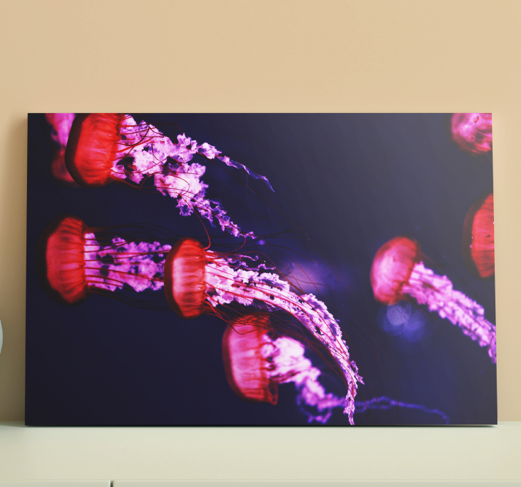 Quadro animali Disegno di meduse - TenStickers