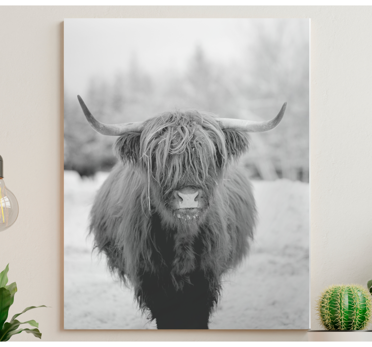Quadro con animali e insetti ritratto di mucca highland - TenStickers