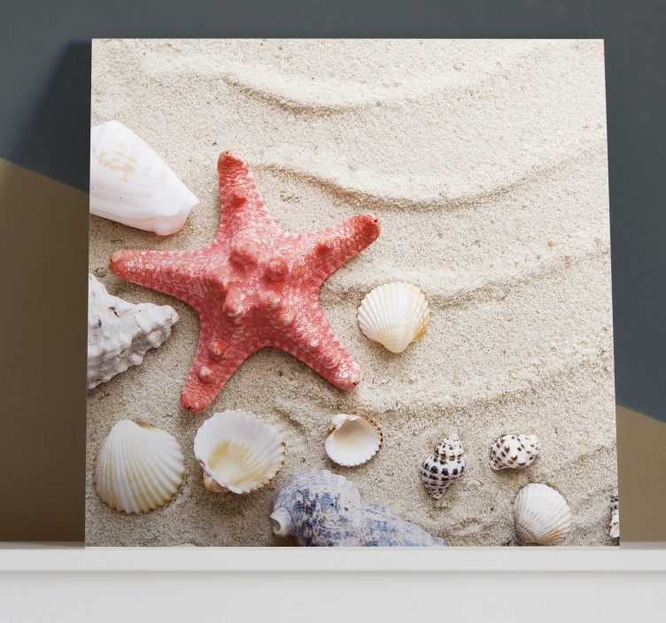 Quadro con animali e insetti Stelle marine  - TenStickers