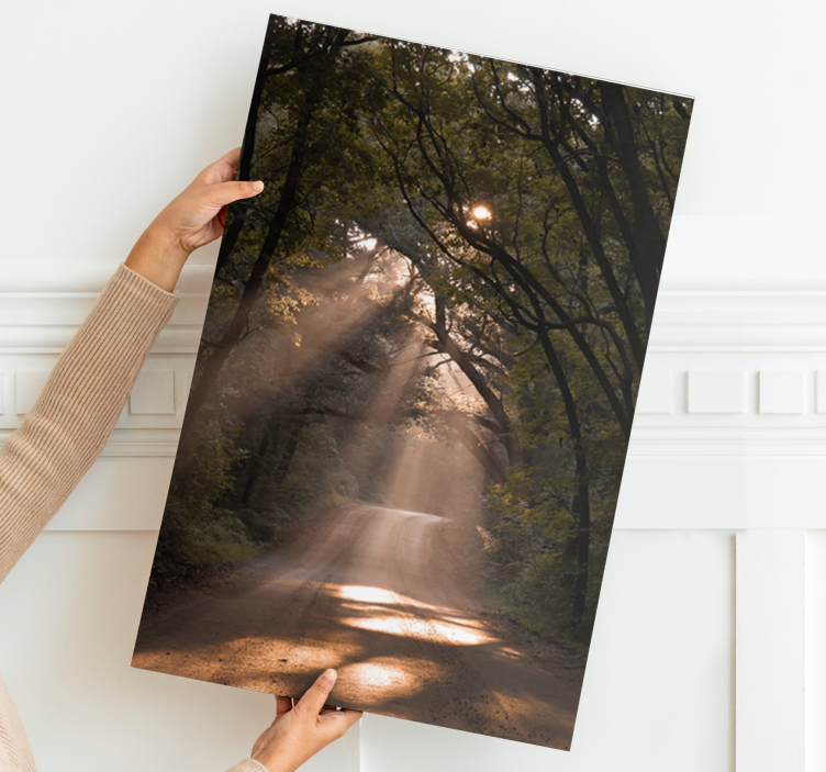 Quadro paesaggio sentiero del bosco al sole - TenStickers