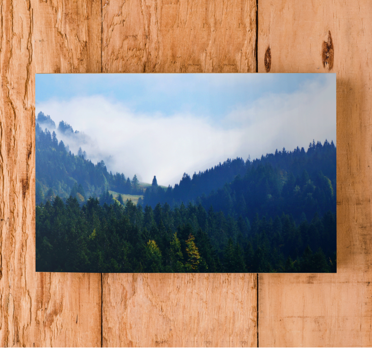 Quadro paesaggio vette forestali maestose - TenStickers