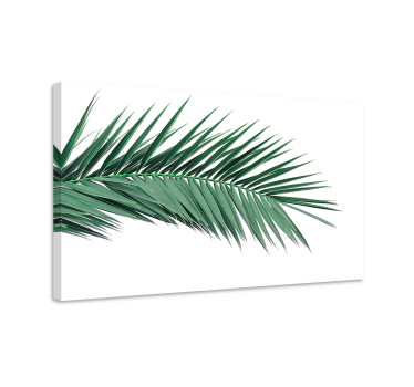 Quadro con piante Foglia di pianta tropicale - TenStickers