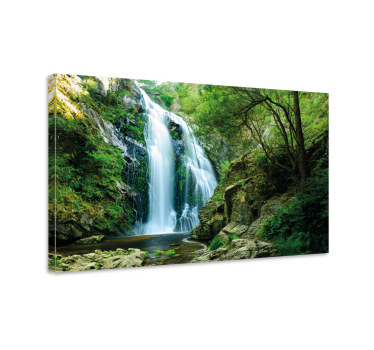 Quadro alberi Cascata nella foresta - TenStickers