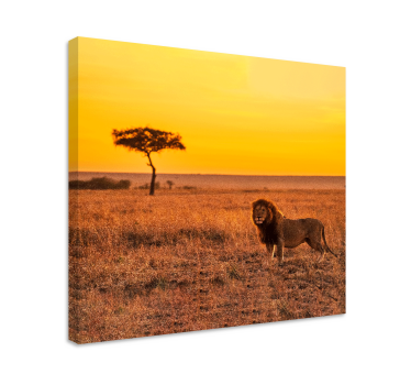 Quadro con animali Albero della savana selvaggia la sera - TenStickers
