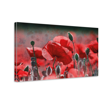 Quadro fiori Campo di papaveri rossi e verdi - TenStickers