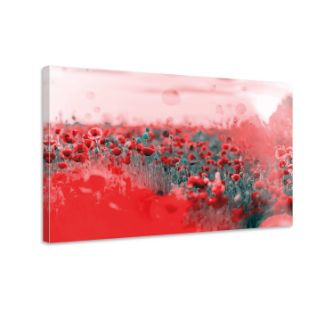 Dipinto fiori prato di papaveri vivace - TenStickers