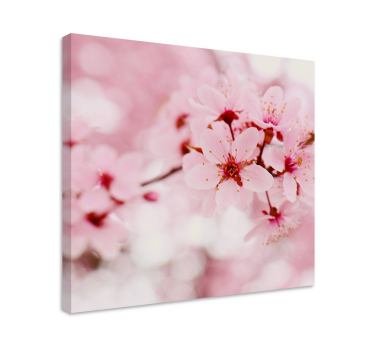 Quadro fiori Arte della fotografia di fiori rosa - TenStickers