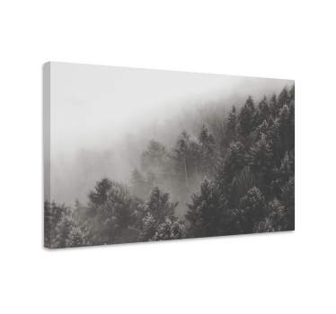 Quadro in 3D Bosco di pini bianchi - TenStickers