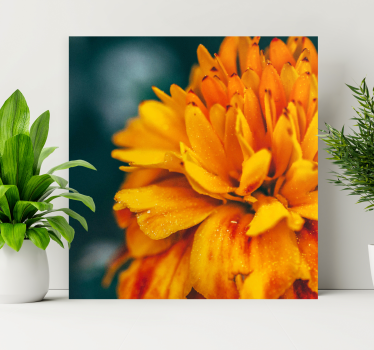 Dipinto fiori fiore d'arancio vibrante - TenStickers