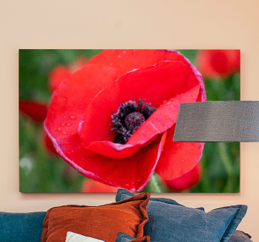 Dipinto fiori fiore di papavero in primo piano - TenStickers